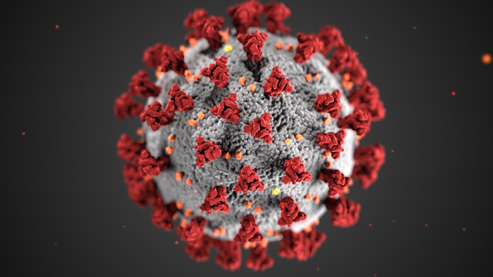 WHO : Semua Hipotesa Asal-usul Virus Corona (Covid-19) Masih Terbuka