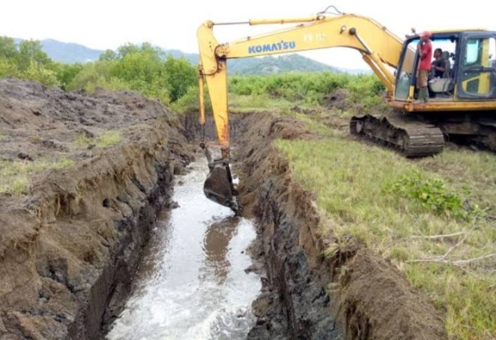 Proses Penguburan Bangkai Paus di Modung Di Jaga Ketat